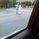 Illustration for article titled Oh Hey, Its a Dog on a Segway Going Down the Street